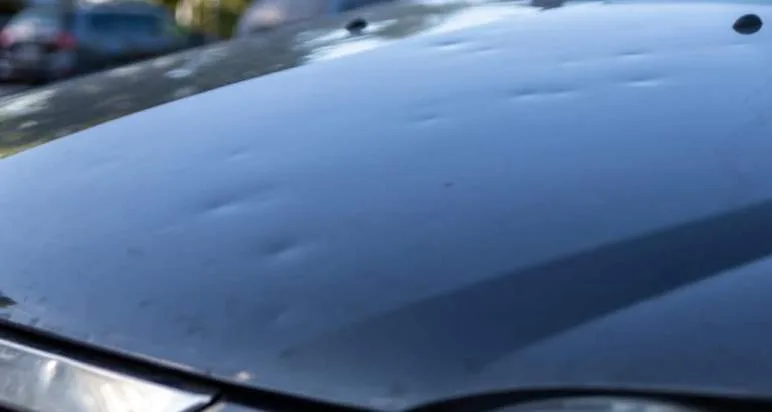 Paintless Dent Repair Marrickville